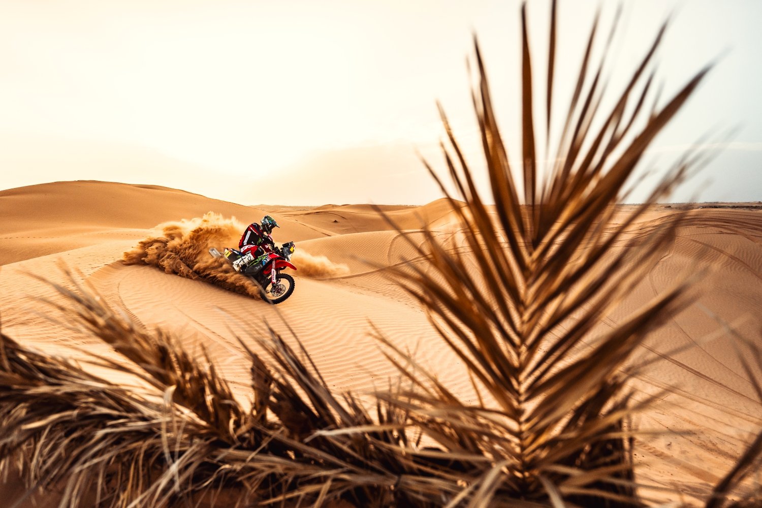 Dakar 2025 the dates, the route, the favorites and Italians at the