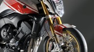 Moto - Gallery: Yamaha FZ1 Abarth Assetto Corse - FOTO UFFICIALI