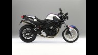 Moto - News: BMW F800R Chris Pfeiffer Edition