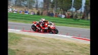 Moto - News: WBSK 2009, Imola, Qualifiche: ottimo Fabrizio