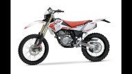 Moto - News: Beta RR Enduro 125 LC e RR Motard 125 LC