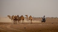 Moto - News: “Aprilia Tuareg queen of Africa”: il documentario che emoziona