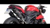 Moto - News: SC-Project: scarichi alti per Triumph Speed Triple 2011/12