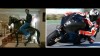 Moto - News: MotoGP: Checa in pista a Jerez con la Ducati 2012