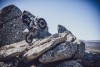 Moto - News: Husqvarna Motorcycles TE ed FE 2022: le nuove enduro professionali