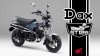 Moto - News: Honda St125 Dax: la mini-bike leggendaria torna dopo 40 anni