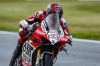 SBK: Tommy Bridewell in pole sul bagnato nel British Superbike