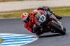 SBK: Petrucci: "Troppo grip, la moto invece di girare ti porta nella via di fuga"