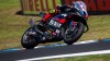 SBK: Toprak ammazza record conquista i test di Phillip Island, 7° Bautista